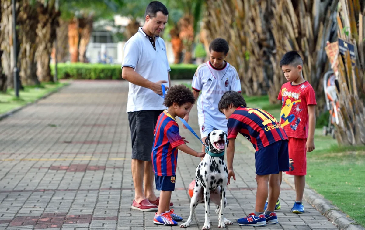 Thủ tục và lợi thế khi người nước ngoài sở hữu căn hộ tại Casa Luna Phú Mỹ Hưng 12 nguoi nuoc ngoai tai pmh